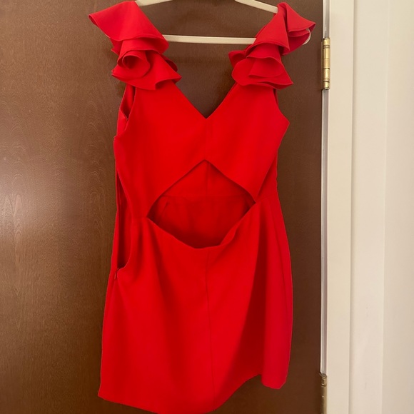 Amanda Richard Gimlet Dress in Lipstick - Picture 2 of 5